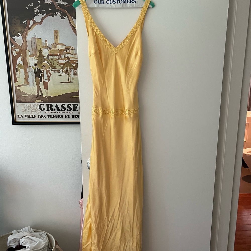 Vintage Cache gown